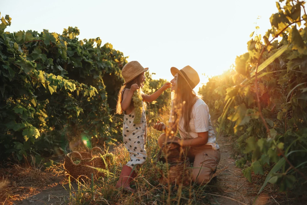 Children playing outdoors — Somerset West is known for family-friendly estate living